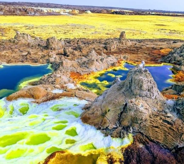 WhatsApp Image 2025-12-30 at 12.14.42 PM