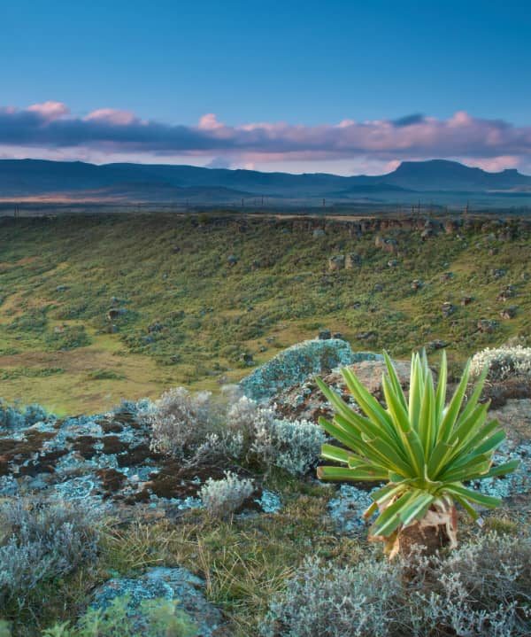 WhatsApp Image 2026-01-01 at 5.05.27 PM